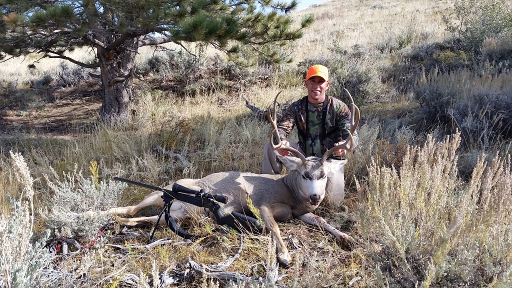 2014 Muley