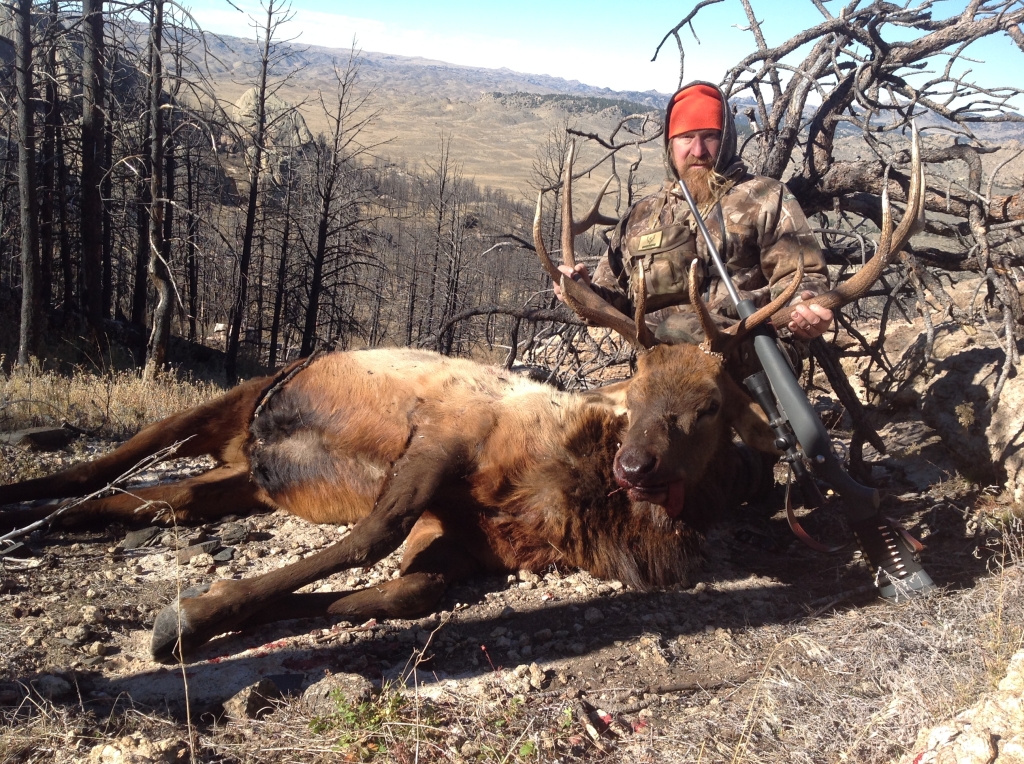 2014 Bull Elk