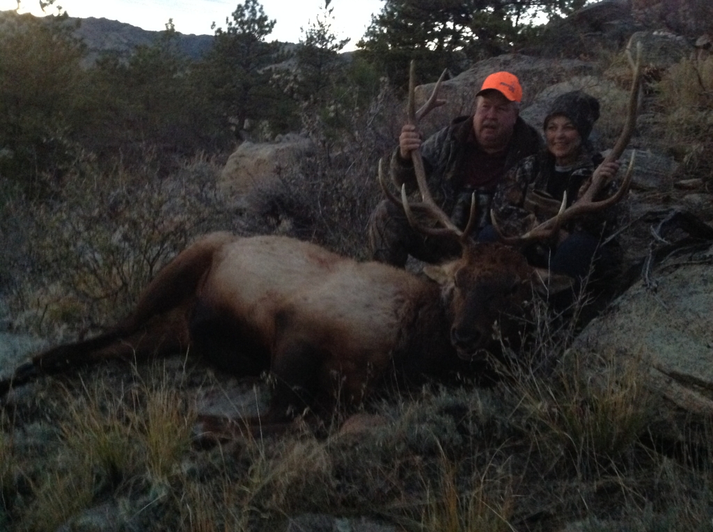 2014 Bull Elk