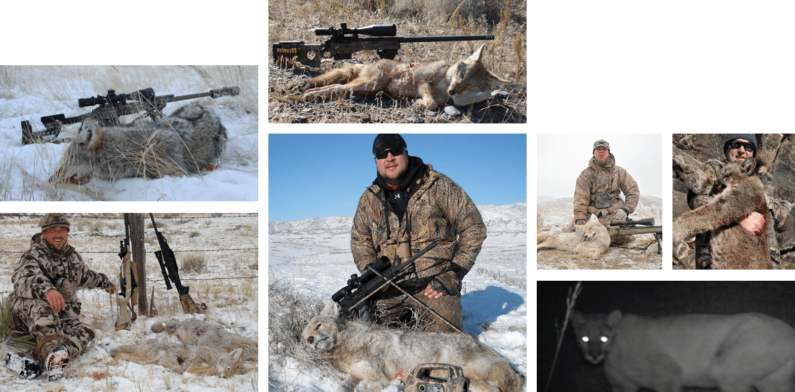 wyoming-predator-hunting-outfitter