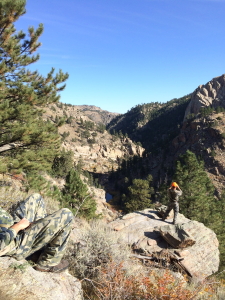 Laramie River Bend