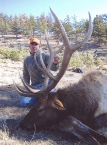 2010 Bull Elk