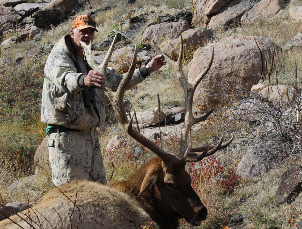 Elk Photos | The Cross C Ranch | Wyoming Outfitter, Wyoming Elk Area 7 ...