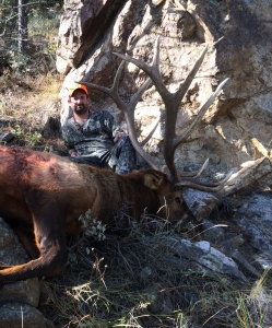 2014 Bull Elk