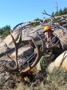 2010 Bull Elk