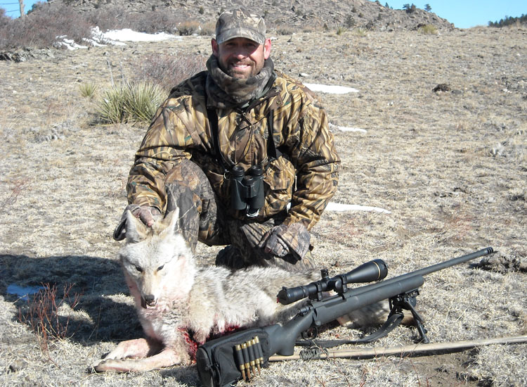 Coyote Hunting Wyoming 