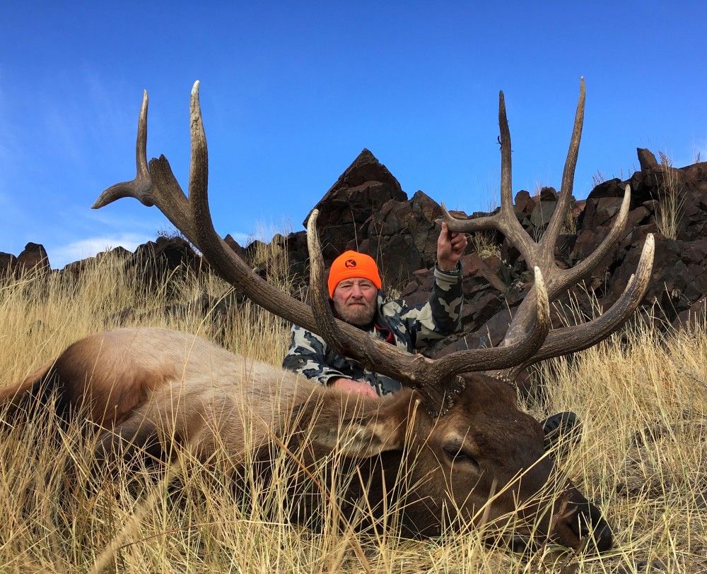 cow elk hunt wyoming cow elk hunt wyoming