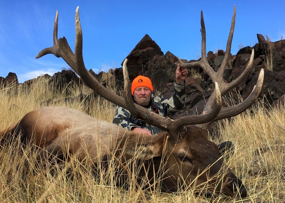 2016 Bull Elk.