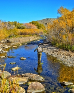 Fishing the Bluegrass