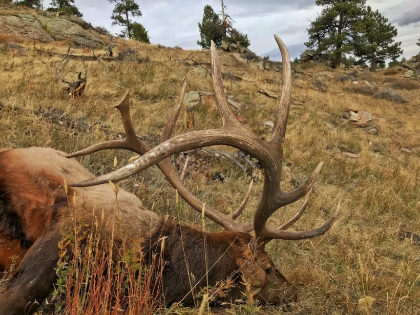 2017 Cross C Ranch Elk Hunt | The Cross C Ranch | Wyoming Outfitter ...