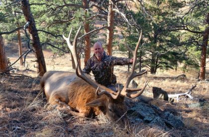 2019 Bull Elk