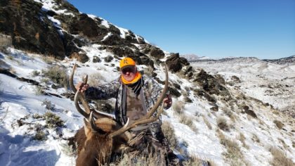 2019 Bull Elk