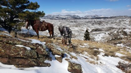 Awesome Bull packout!