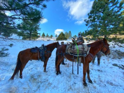 Elk Packout