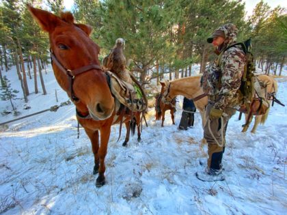 Elk Packout