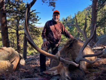 2019 Bull Elk