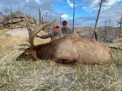 2020 Bull Elk