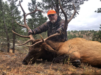 2020 Bull Elk