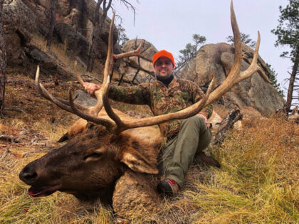 2020 Bull Elk