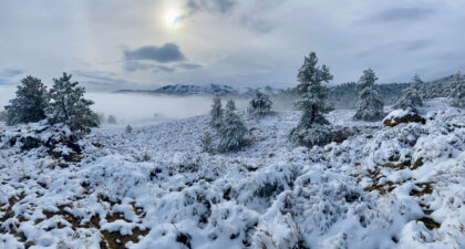 Snowy Mountains