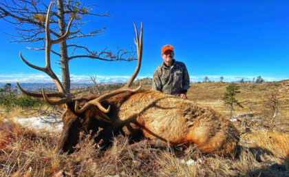 2021 Bull Elk