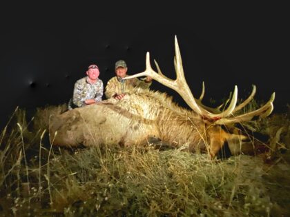 2021 Bull Elk