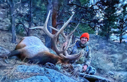 2021 Bull Elk