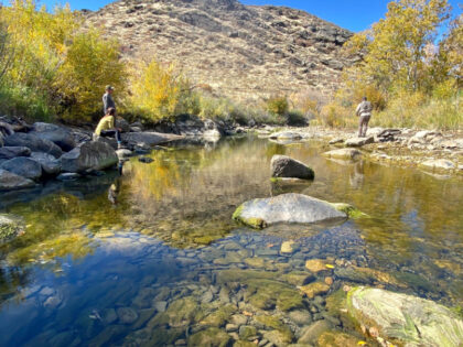 Bluegrass Creek