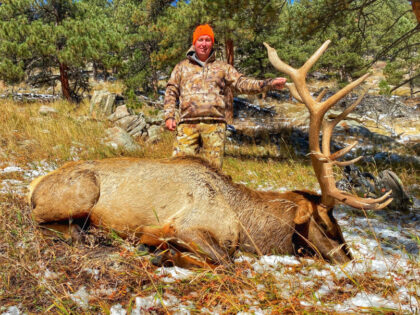 2021 Bull Elk