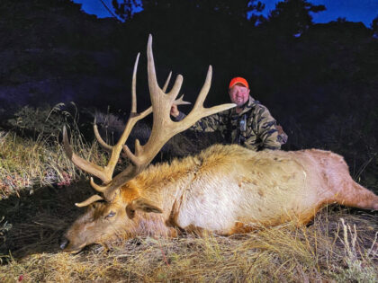 2021 Bull Elk