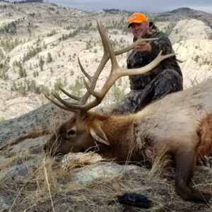 2021 Bull Elk