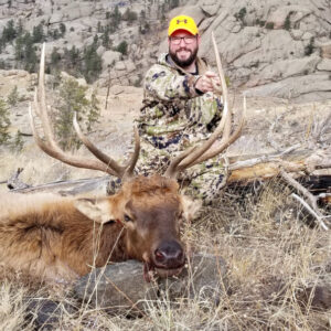 2021 Bull Elk