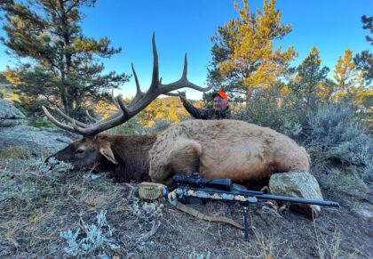 2022 Bull Elk