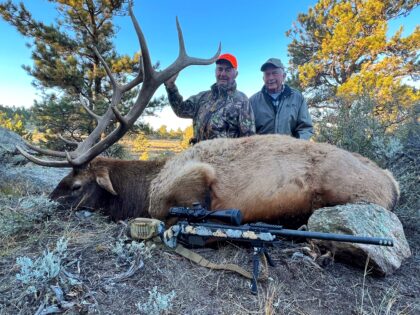 2022 Bull Elk