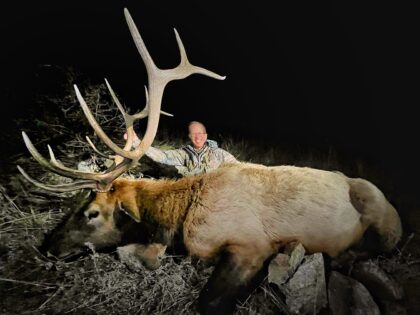 2023 Bull Elk