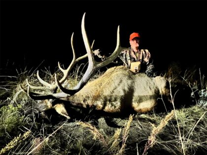 2023 Bull Elk