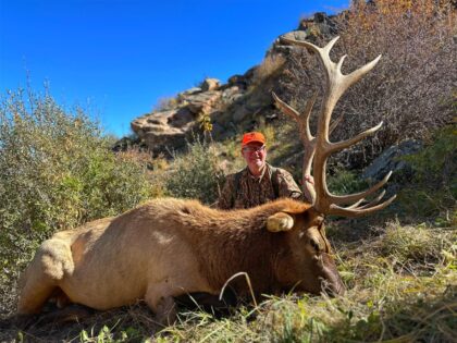 2023 Bull Elk