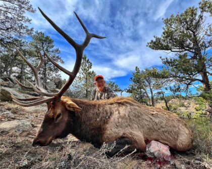 2023 Bull Elk