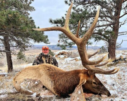 2023 Bull Elk