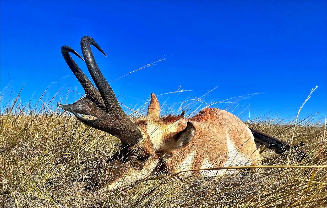 Cross C Ranch — photo 3