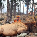 2024 Bull Elk